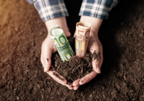 Geld-in-aarde-1-1-1024x684
